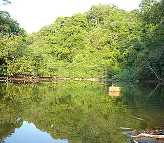 Jaqué, Panama