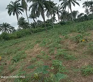 Iwo, Nigeria