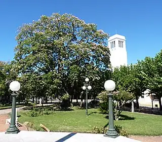 Veinticinco de Mayo, Argentine
