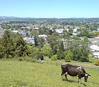 Tokoroa, Nouvelle-Zélande