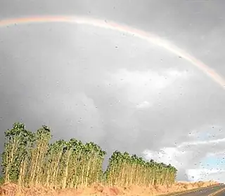 Wahiawa, États-Unis