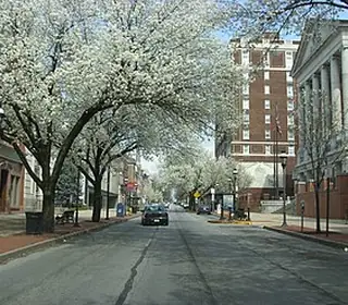 York, États-Unis