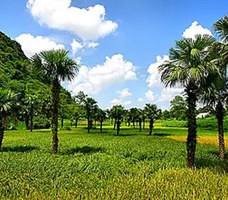 Tuyên Quang, Viêt Nam