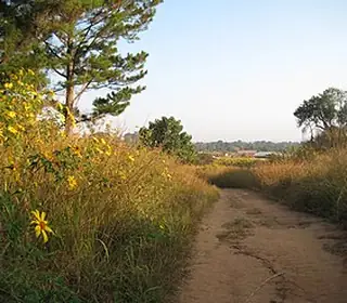 Mwinilunga, Zambie