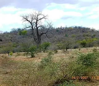 Moatize, Mozambique