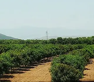 Tuxpan, Mexique