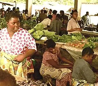 Basankusu, République démocratique du Congo