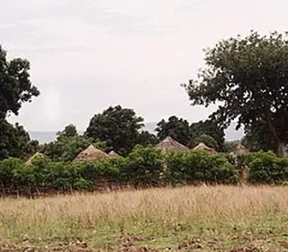 Dabola, Guinée