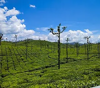 Valparai, Inde