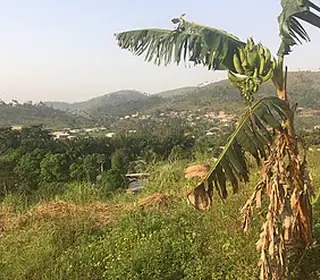 Macenta, Guinée