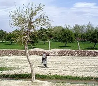 Tarin Kowt, Afghanistan