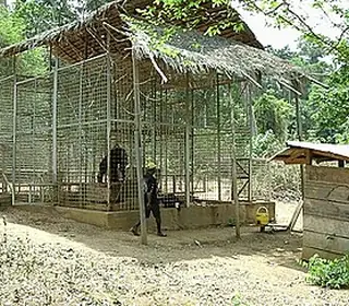 Bélabo, Cameroun