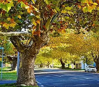 Seymour, Territoires extérieurs australiens de l'Océan Indien