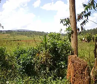 Kayanza, Burundi