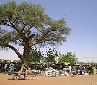 Gorom Gorom, Burkina Faso