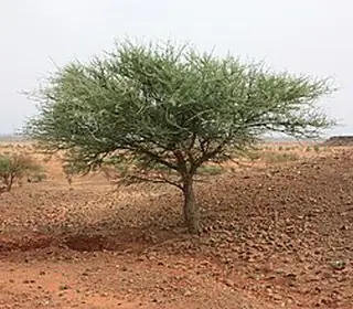 Djibo, Burkina Faso