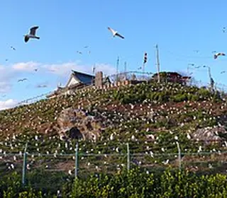 Hachinohe, Japon