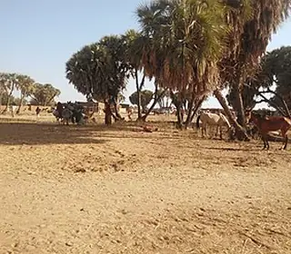 Am Timan, Tchad
