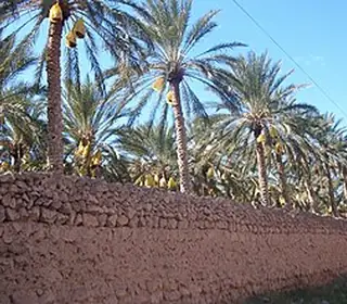 Biskra, Algérie
