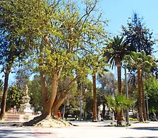 Copiapó, Chili