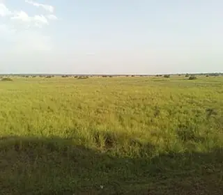 Pallisa, Ouganda