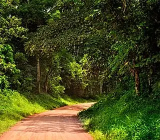 Kibale, Ouganda