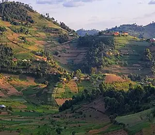 Kisoro, Ouganda